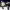 https://res.cloudinary.com/billionhands/image/upload/v1766390661/items/kpzhkqsarusyhxh3fgmh.jpg-3cover