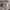 https://res.cloudinary.com/billionhands/image/upload/v1766475286/items/gdduhetx3pll5x6gg3se.jpg-3cover