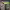 https://res.cloudinary.com/billionhands/image/upload/v1766475290/items/wpey7esd18needfamd9m.gif-0cover