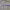https://res.cloudinary.com/billionhands/image/upload/v1766475317/items/utjxpkxb4rvzkvsmx5vo.jpg-1cover