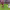 https://res.cloudinary.com/billionhands/image/upload/v1766476406/items/atwj1cro6vtgwazmbl6d.jpg-0cover