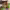 https://res.cloudinary.com/billionhands/image/upload/v1766491319/items/raodvxcu2jormasvj6ez.webp-0cover