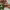https://res.cloudinary.com/billionhands/image/upload/v1766491324/items/hhctp9skkxdkw9iaxpck.jpg-0cover
