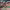 https://res.cloudinary.com/billionhands/image/upload/v1766491343/items/mnfkiqsxh5hge0pxyusg.avif-2cover