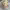 https://res.cloudinary.com/billionhands/image/upload/v1766491351/items/zlrsh9vkvekorxbvc18w.jpg-2cover