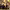 https://res.cloudinary.com/billionhands/image/upload/v1766563336/items/mebjdqdkj21a5td2qlhk.jpg-3cover
