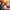 Demon Slayer: Kimetsu no Yaiba the Movie: Mugen Train cover