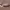 https://res.cloudinary.com/billionhands/image/upload/v1766648436/items/djimvwqg310e1t48xmjt.jpg-0cover