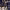 https://res.cloudinary.com/billionhands/image/upload/v1766733796/items/anwtfwvit3h5m4j0wa6e.jpg-1cover