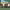 https://res.cloudinary.com/billionhands/image/upload/v1766734767/items/yjcbh5gnknyl8s9xznm3.jpg-0cover