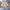 https://res.cloudinary.com/billionhands/image/upload/v1766734773/items/tw5xuyvpckzcuwepbczg.jpg-0cover
