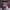 https://res.cloudinary.com/billionhands/image/upload/v1766734779/items/cdnmoaxxnqlncikv0ug5.jpg-0cover