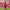 https://res.cloudinary.com/billionhands/image/upload/v1766820311/items/e8m7kf8htxfueasspyna.avif-1cover