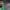 https://res.cloudinary.com/billionhands/image/upload/v1766820316/items/auutzicypvanj6qkhkw4.jpg-3cover