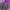 https://res.cloudinary.com/billionhands/image/upload/v1766821251/items/l5ao0t2k6xbcrnhyk2je.jpg-0cover