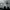 "Plainsong" cover