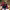 https://res.cloudinary.com/billionhands/image/upload/v1766906646/items/zv22fk1avh3r49suc1os.jpg-0cover