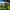 https://res.cloudinary.com/billionhands/image/upload/v1766932123/items/tr9aarb35ssq0ltmz9wg.png-0cover