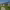 https://res.cloudinary.com/billionhands/image/upload/v1766932124/items/vlnccmkupyma9ozbvly0.jpg-2cover