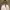https://res.cloudinary.com/billionhands/image/upload/v1767027601/items/s4bbkjlr6cgkda2p7ixt.jpg-3cover
