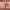 https://res.cloudinary.com/billionhands/image/upload/v1767028253/items/g7ajnwxooacnzjdag7qe.webp-1cover