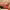 https://res.cloudinary.com/billionhands/image/upload/v1767028803/items/t56dbpwhgdnr1gblu4h5.jpg-0cover