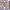 https://res.cloudinary.com/billionhands/image/upload/v1767029389/items/lxvvdoqhfqzmgngxi84z.jpg-3cover