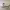 https://res.cloudinary.com/billionhands/image/upload/v1767029402/items/gkgzjbcmlxsgidlsv8m1.jpg-1cover