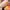 https://res.cloudinary.com/billionhands/image/upload/v1767030582/items/gugvgcm1acyhzrvf8pcp.webp-2cover