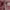 https://res.cloudinary.com/billionhands/image/upload/v1767032912/items/gyav9spuhvdndjnxj8km.png-2cover