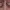 https://res.cloudinary.com/billionhands/image/upload/v1767032945/items/atfnig72asybogikca4t.jpg-0cover
