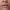 https://res.cloudinary.com/billionhands/image/upload/v1767033432/items/vjft3z1xnpdicybwxfcv.webp-2cover
