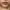 https://res.cloudinary.com/billionhands/image/upload/v1767033453/items/vwv2mj3ectobqehezsir.jpg-0cover