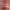https://res.cloudinary.com/billionhands/image/upload/v1767035513/items/nzjoejhyqrwjwflybuzf.jpg-2cover