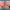 https://res.cloudinary.com/billionhands/image/upload/v1767035781/items/axy6ow7ntwzcdizh9dbg.jpg-2cover