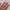 https://res.cloudinary.com/billionhands/image/upload/v1767037242/items/rzykb2sh6edaj3abybjq.avif-1cover