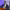 https://res.cloudinary.com/billionhands/image/upload/v1767037619/items/xc3aj7rqw9zzx8njn5ju.jpg-1cover