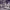 https://res.cloudinary.com/billionhands/image/upload/v1767038185/items/cbumzb52twq3jypypouk.jpg-1cover