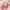 https://res.cloudinary.com/billionhands/image/upload/v1767039403/items/fslie2zqlepcncl7zdfp.jpg-1cover