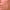 https://res.cloudinary.com/billionhands/image/upload/v1767039562/items/r41oqeejdppedkvuimce.jpg-3cover