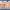 https://res.cloudinary.com/billionhands/image/upload/v1767039580/items/vvnnt7uzjpkrolfawkjn.jpg-1cover