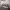 https://res.cloudinary.com/billionhands/image/upload/v1767040145/items/eaf2b4rr0l95xzhgi57g.jpg-3cover