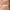 https://res.cloudinary.com/billionhands/image/upload/v1767040372/items/k0kxlgv8cltxmsqea6nf.jpg-2cover