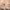 https://res.cloudinary.com/billionhands/image/upload/v1767040373/items/dtju6mzc9ika4lhykhaq.webp-3cover