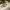 https://res.cloudinary.com/billionhands/image/upload/v1767041516/items/ojxzuba8ekdslo1fbnxt.avif-2cover