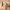 https://res.cloudinary.com/billionhands/image/upload/v1767044803/items/pq7anfvfnrxjsqbzrflc.avif-2cover