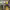 https://res.cloudinary.com/billionhands/image/upload/v1767047930/items/kydph88hkmflm8cdv9sg.jpg-0cover