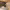 https://res.cloudinary.com/billionhands/image/upload/v1767049033/items/rmy7t7h8nogmbycwfxvo.webp-3cover