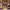 https://res.cloudinary.com/billionhands/image/upload/v1767049986/items/l36otzihywiz5owhz5dl.webp-2cover