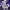 https://res.cloudinary.com/billionhands/image/upload/v1767049996/items/uoh1dvbndxffsmdv2jdn.webp-2cover